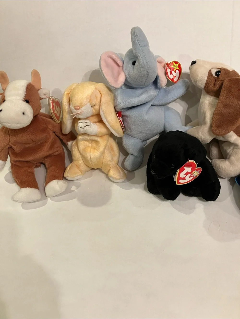 Ty Beanie Babies  (11) Assorted Plush Lot - Black, White, Brown, Gray, Blue,